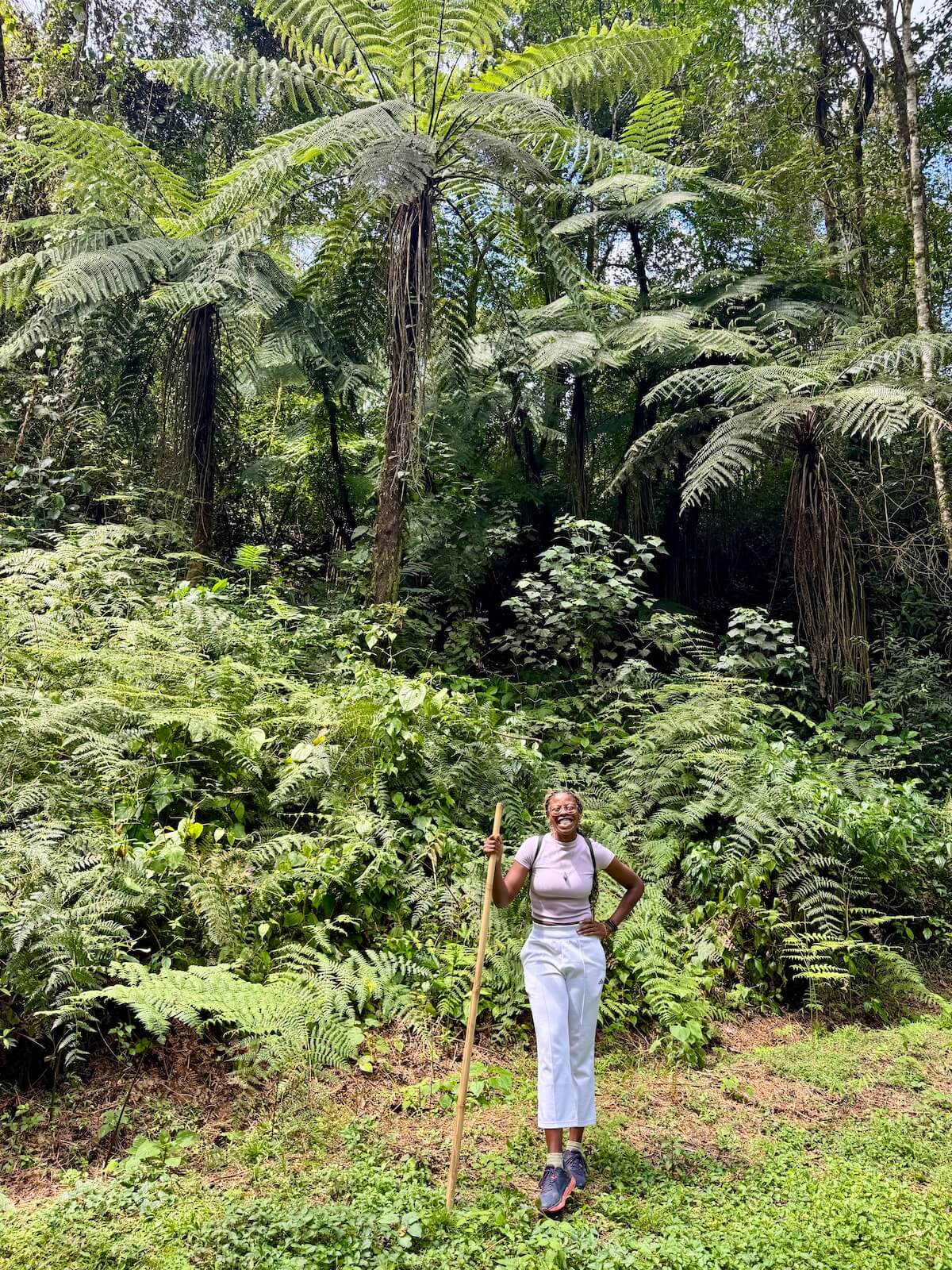 Visiting the Cloud Forest is a great activity for anyone who loves outdoor adventure.  