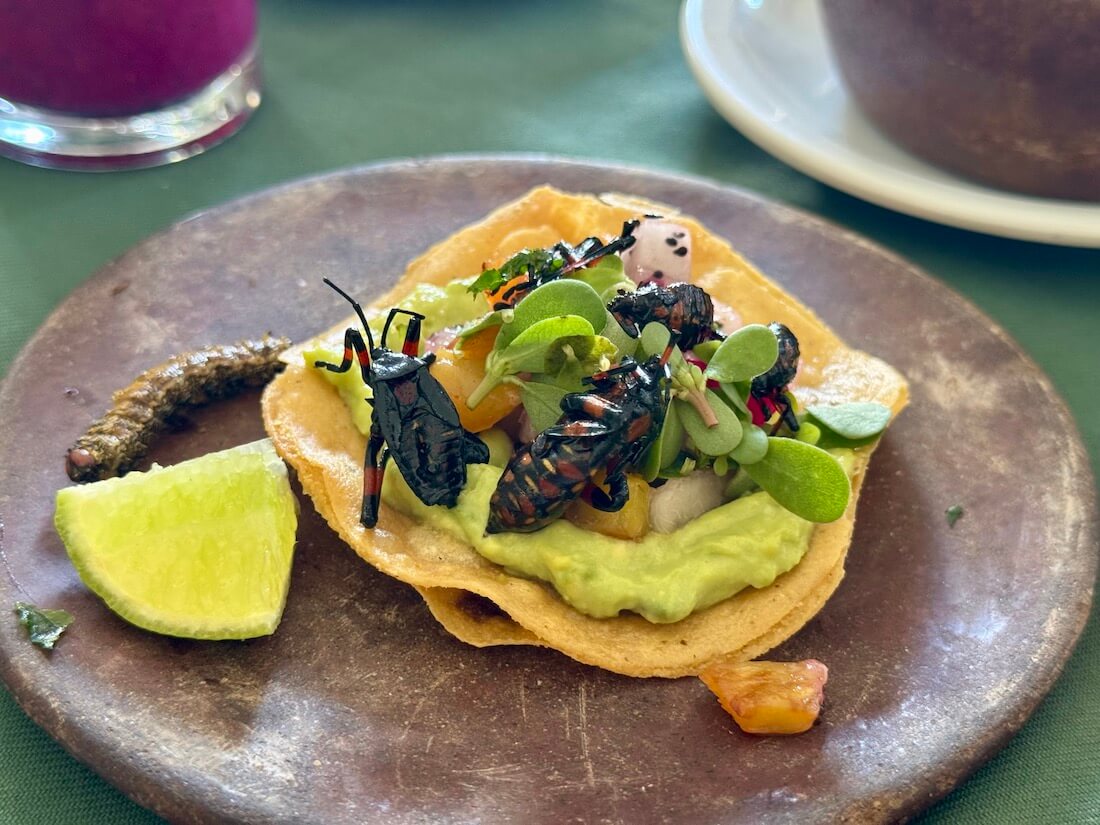 A tostada topped with guacamole, toasted insects, and fresh fruit. 
