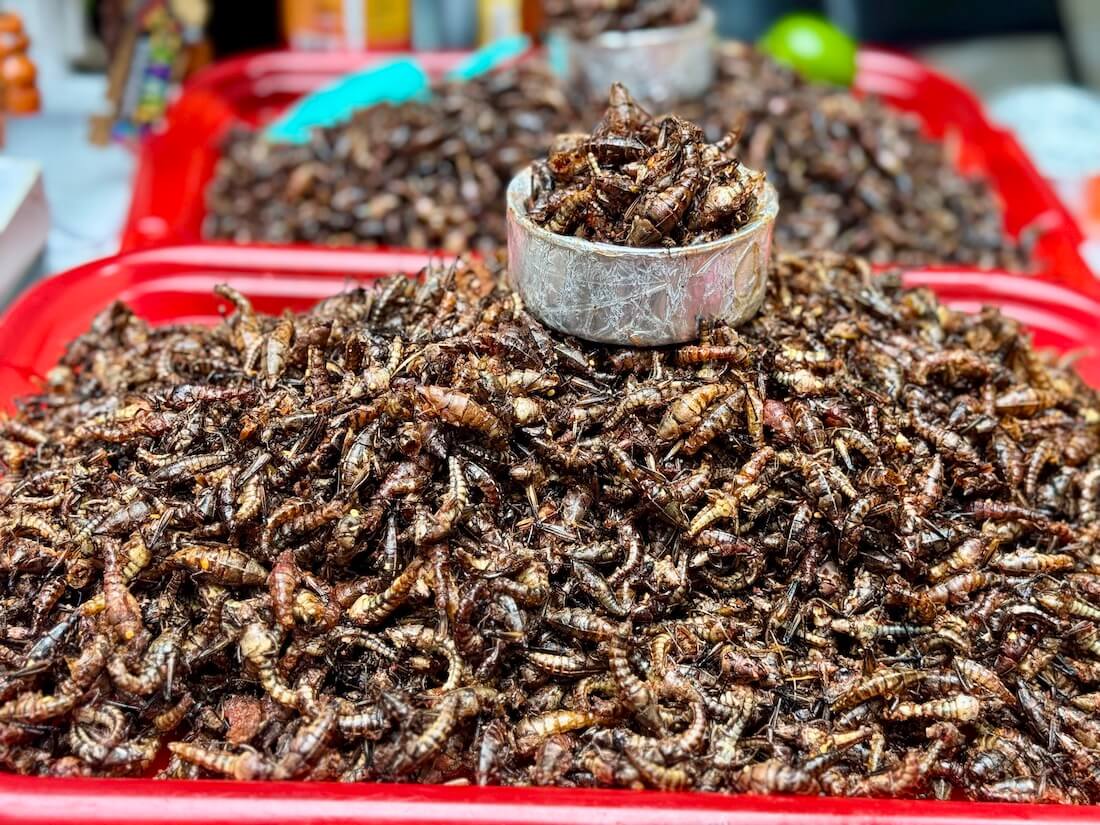 Toasted grasshoppers at a local market in Puebla. 