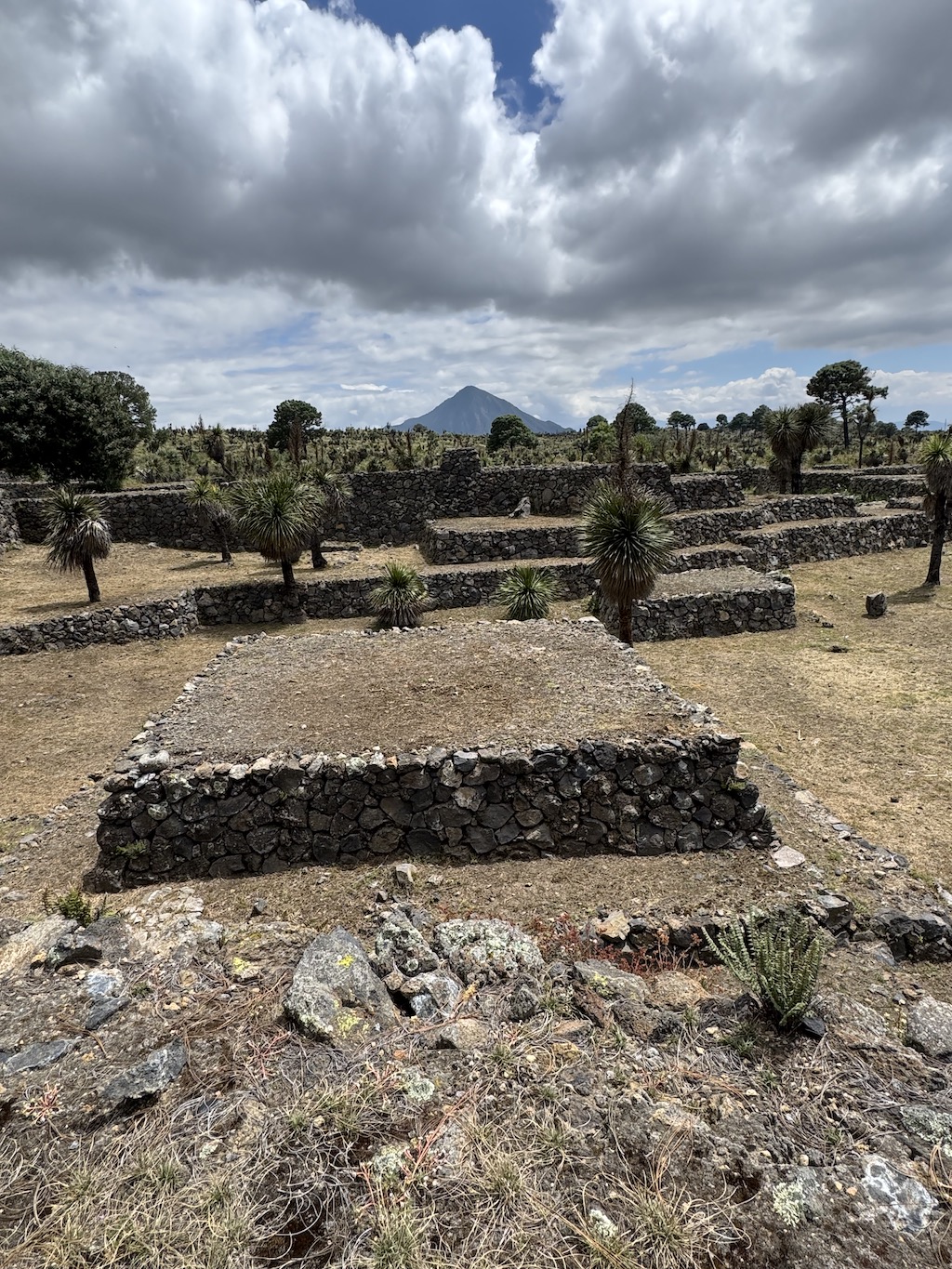 This is a photo of the Cantona Archaeological Site, one of the best things to do in Puebla, Mexico for history buffs. 