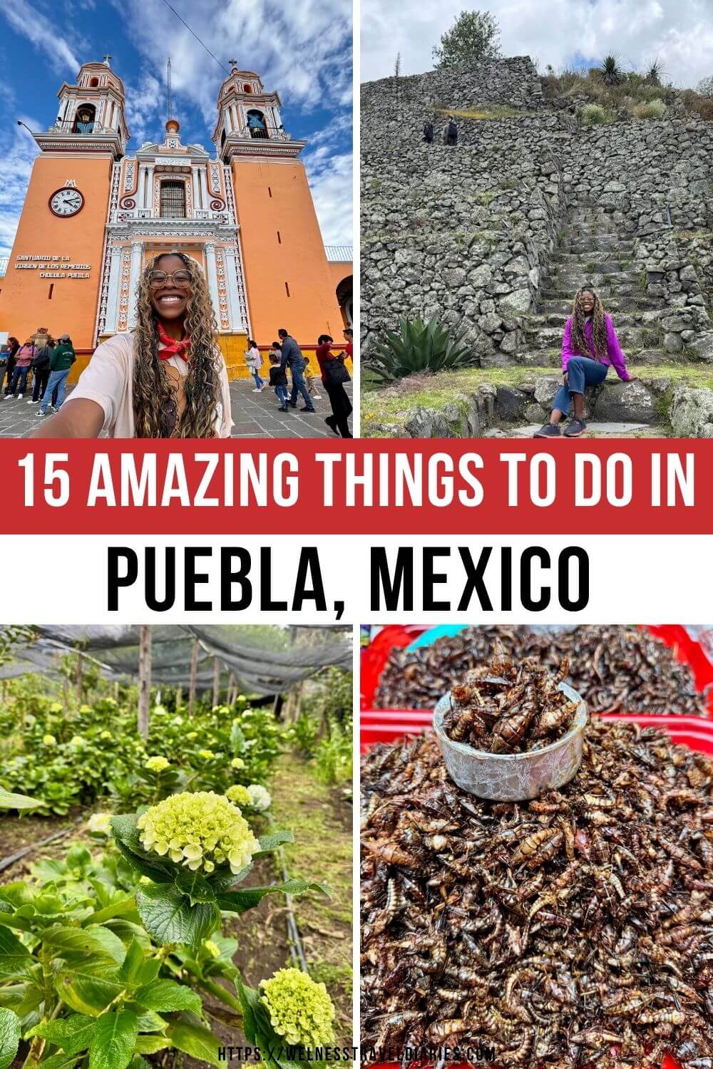 Pinterest Pin for what to do and see in Puebla