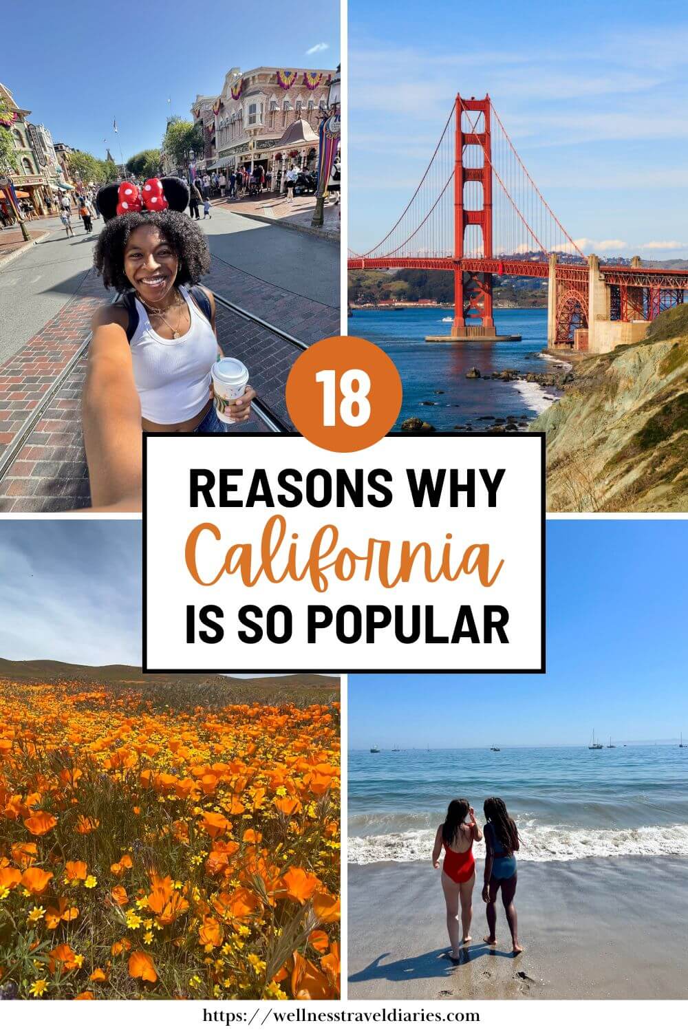 A Pinterest pin saying, "18 Reasons Why California is So Popular".
