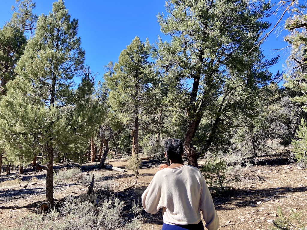 Best hikes 2024 in big bear