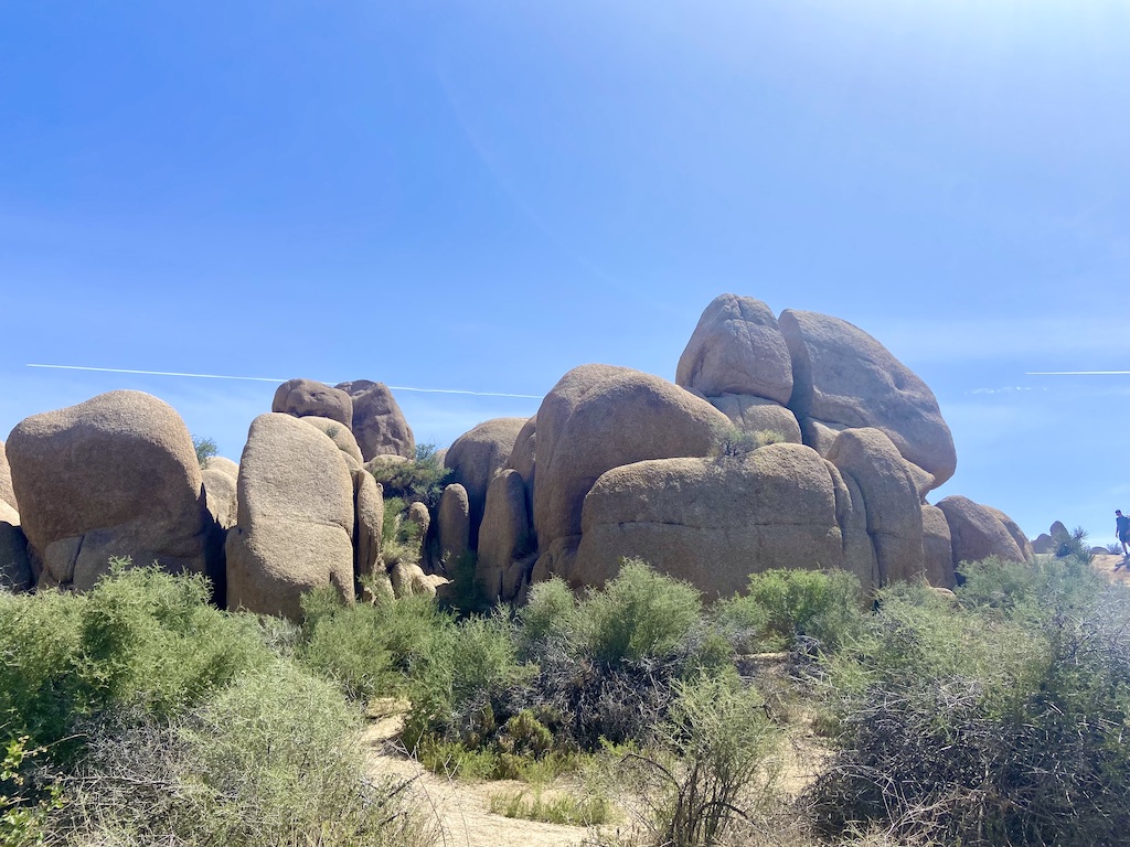 Four Exciting Places To Go Bouldering In Joshua Tree - Wellness Travel ...